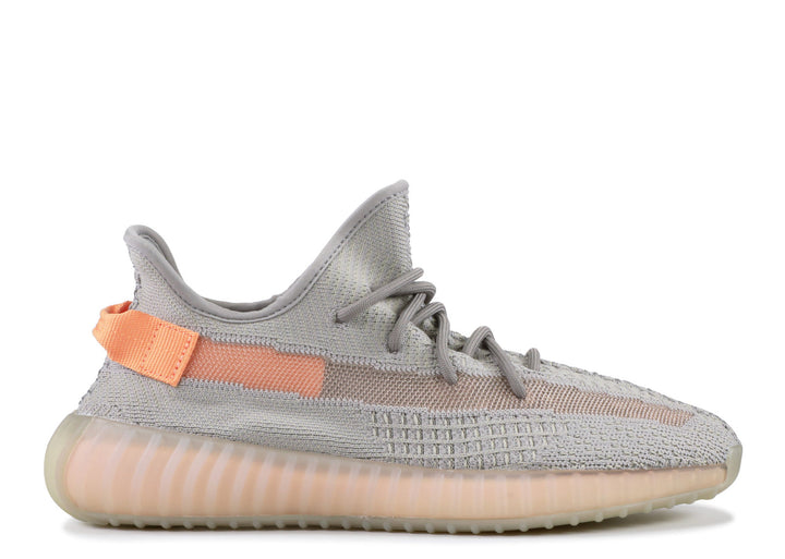 Adidas Yeezy Boost 350 V2 "Trueform"