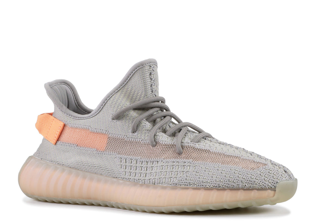 Adidas Yeezy Boost 350 V2 "Trueform"