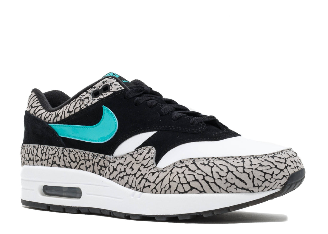 Air Jordan 3 x Nike Air Max 1 "Atmos Pack"