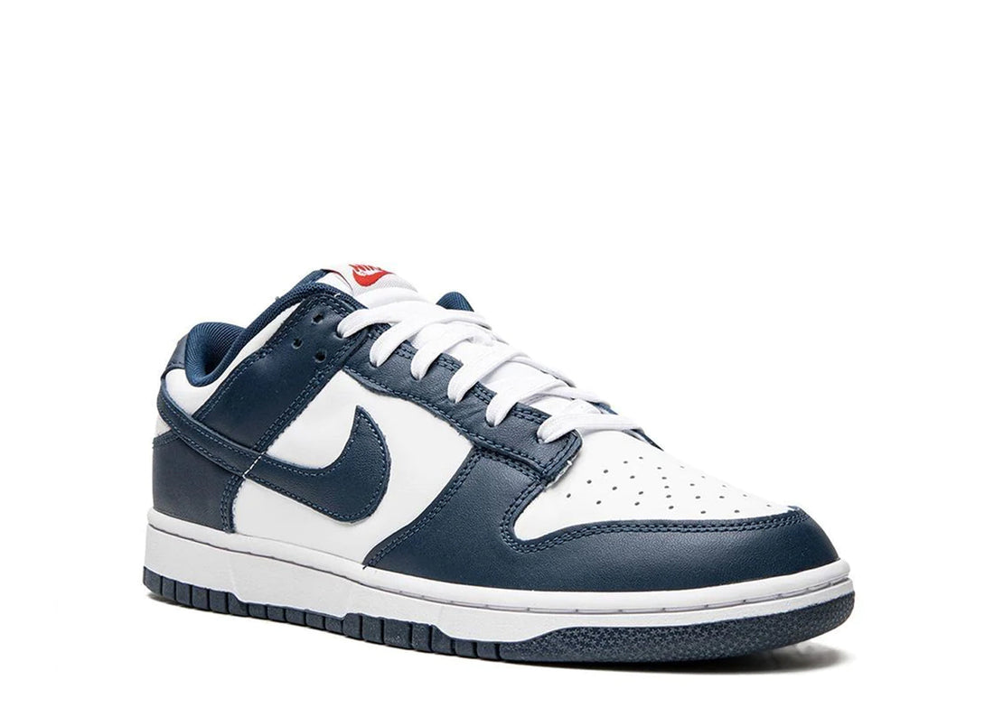 Nike Dunk Low "Valerian Blue"